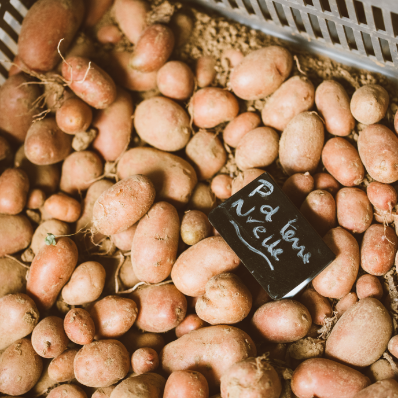 pomme de terre nouvelle